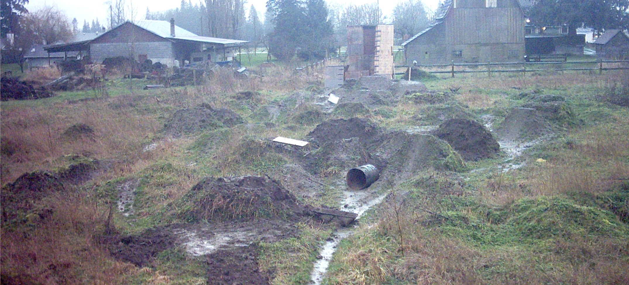Photo of my backyard dirt jumps